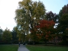 P1010325.JPG